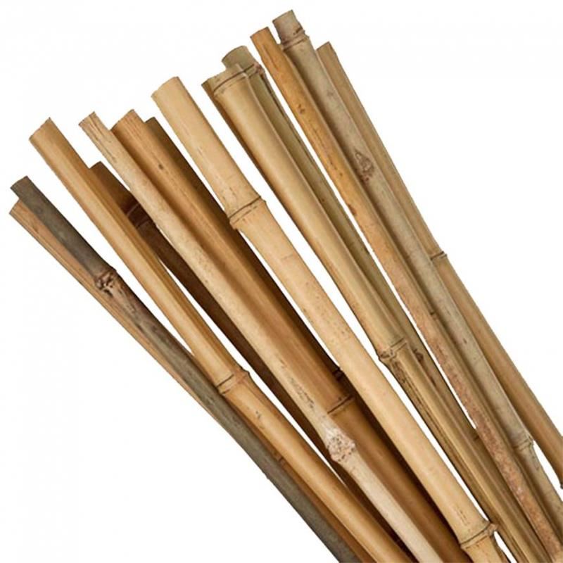 arac pentru plante, rosii, bambus, set 10 buc, 1.6x180 cm, Strend Pro