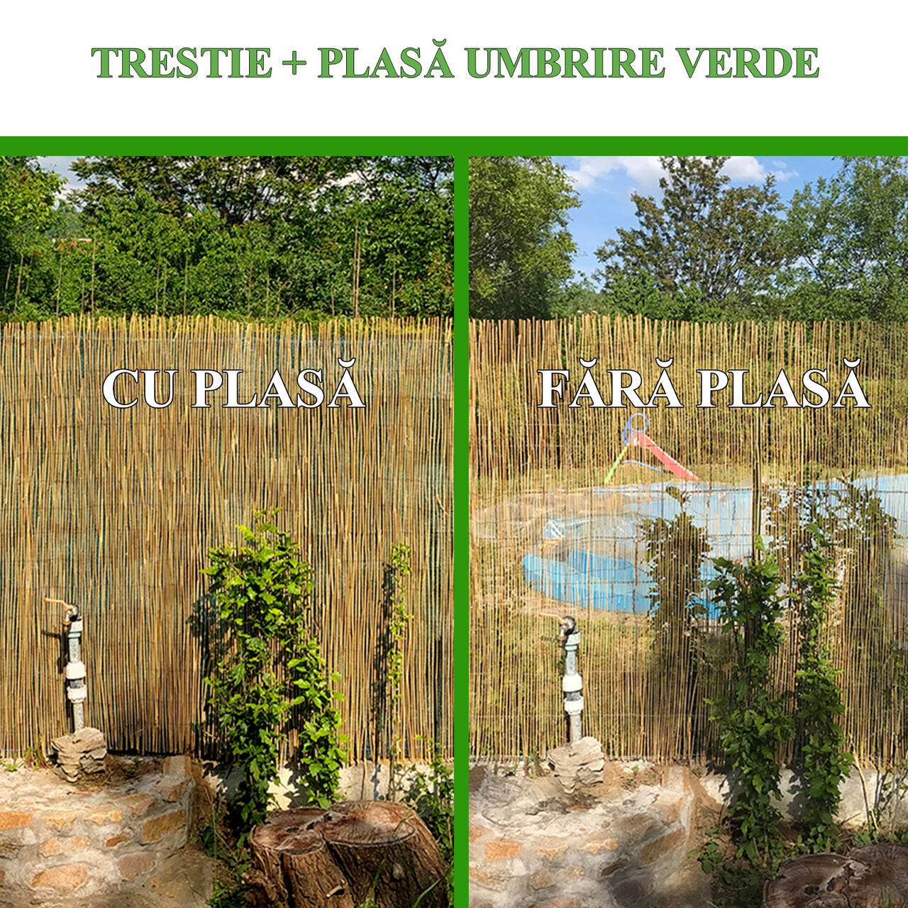 Gard/paravan din trestie, 5x2 m