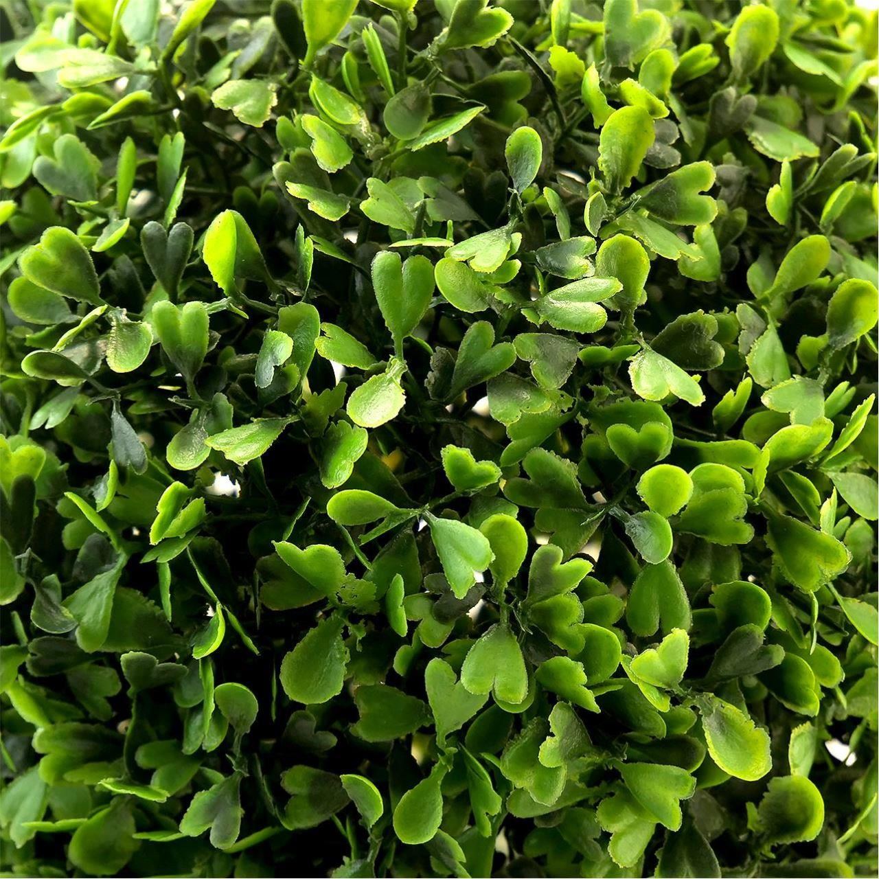 Műnövény, cserje, gömb alakú, buxus, átmérője 39 cm