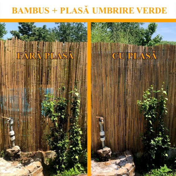 Természetes bambusz kerítés/háló, 5x1 m