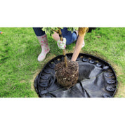 Bordura pentru gazon, plastic, 24 cuie tip harpon, 4.8 m