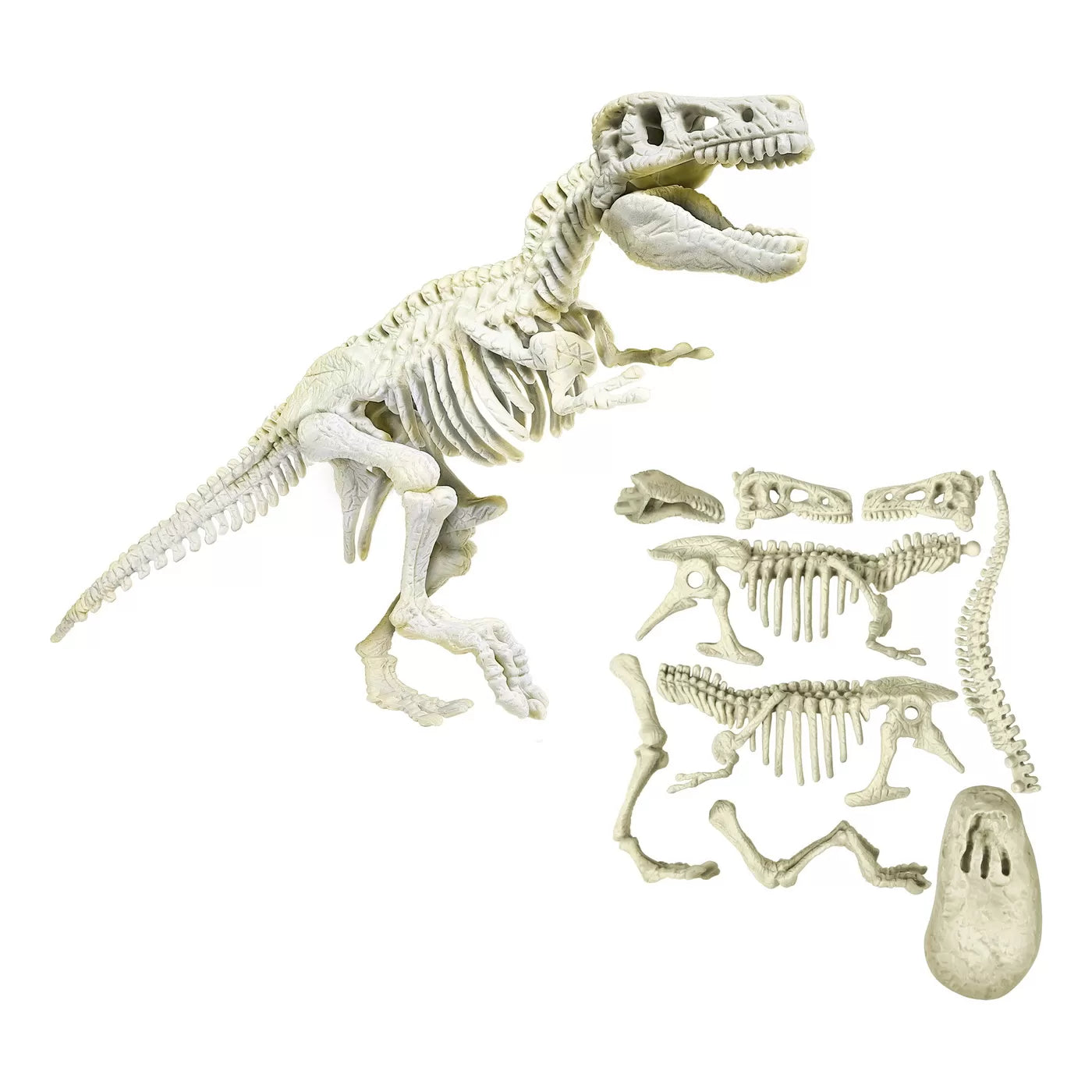 Descopera dinozaurul t-rex