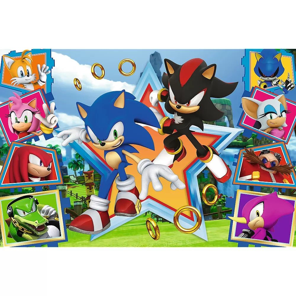 Puzzle Trefl 100 Sonic: A Sonic csodálatos világa
