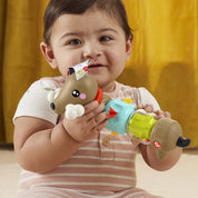 Fisher price jucarie catelus de activitate pentru bebelusi click and spin