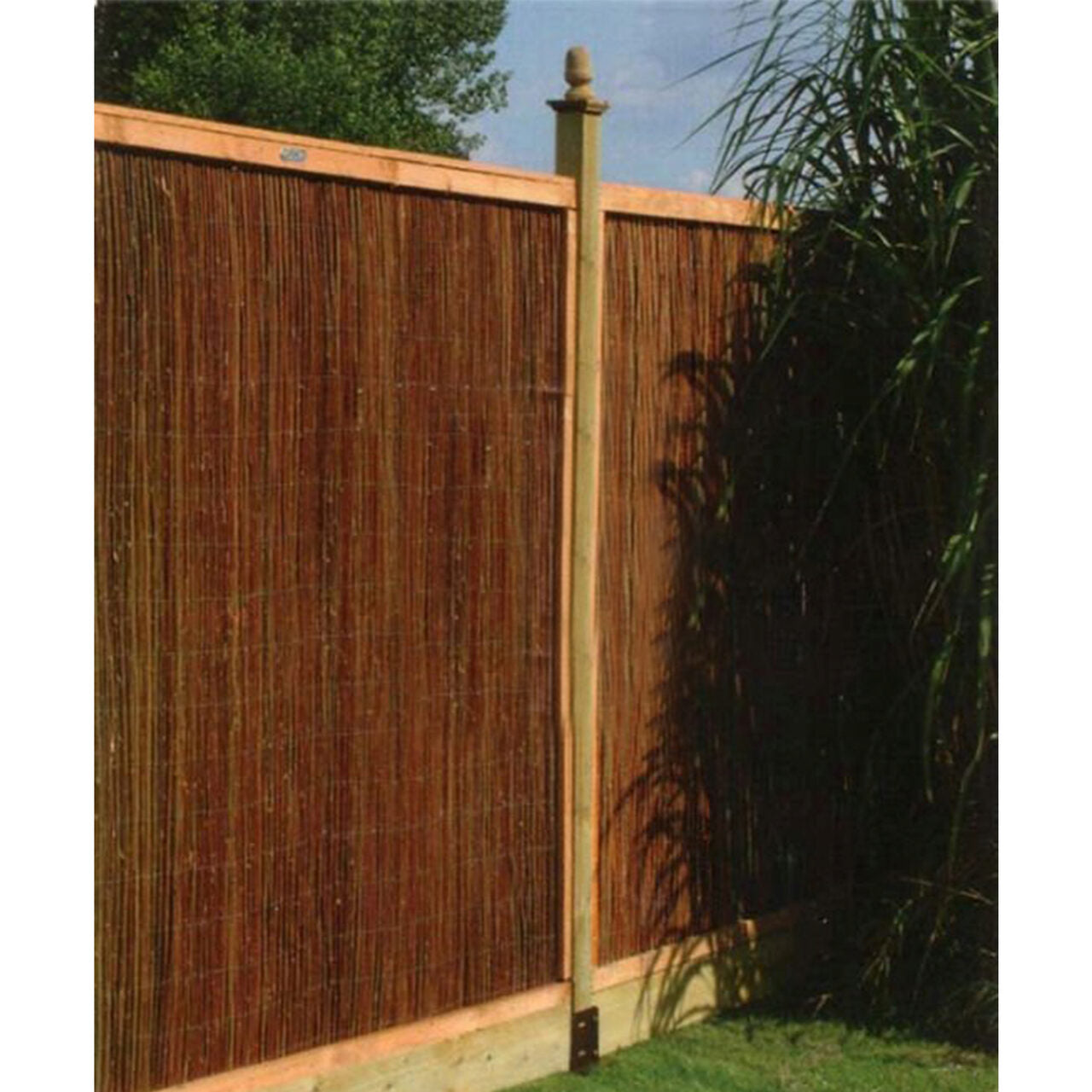 Gard gradina/paravan din rachita naturala, 5x2 m