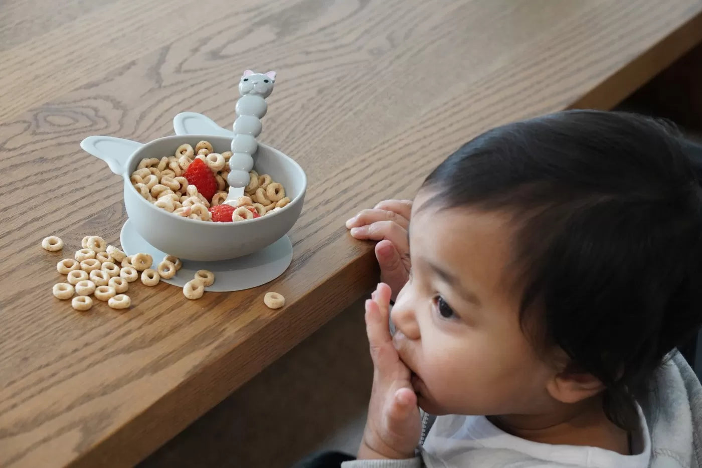 2 db-os szilikon tálkészlet tapadókorongokkal, bulldog modell