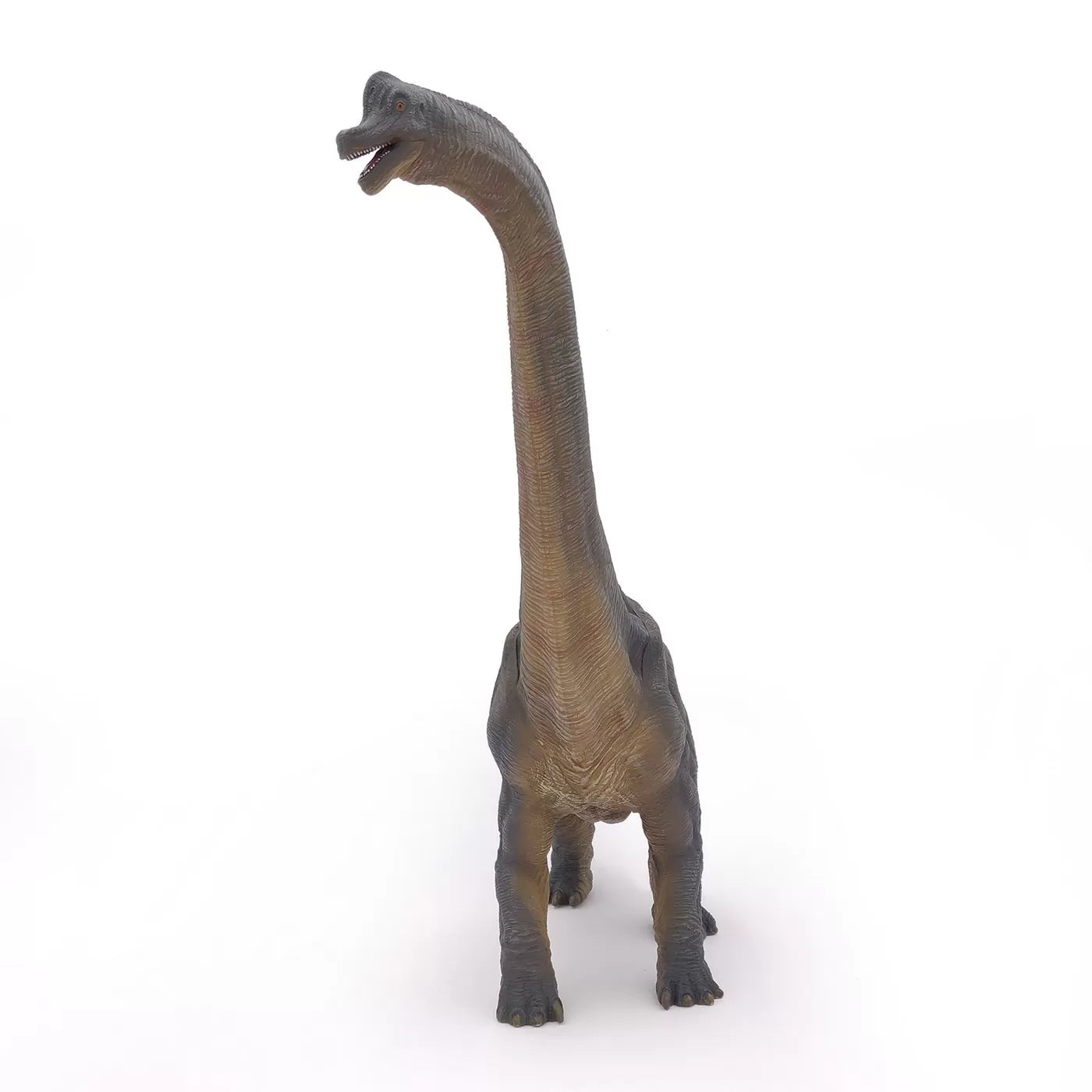 Papo Brachiosaurus dinoszaurusz figura