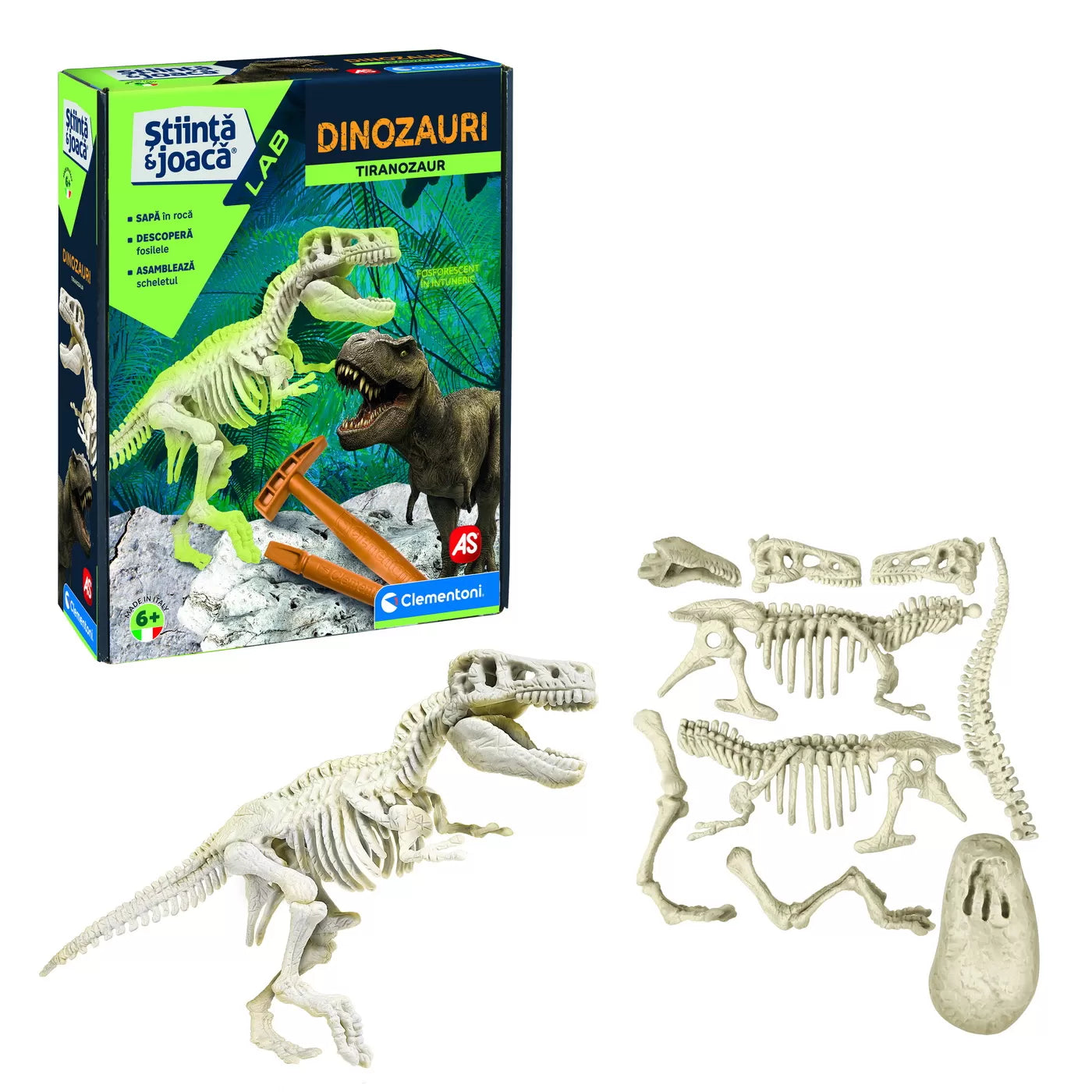 Descopera dinozaurul t-rex