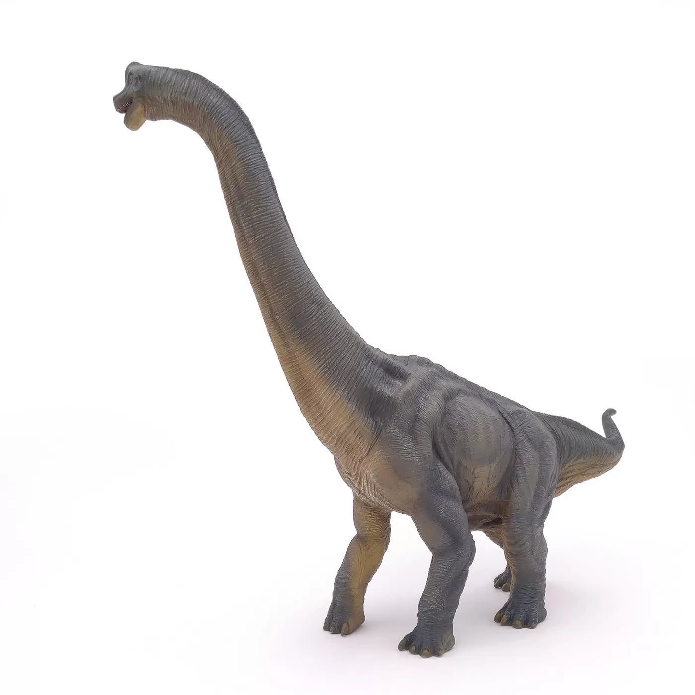 Papo Brachiosaurus dinoszaurusz figura