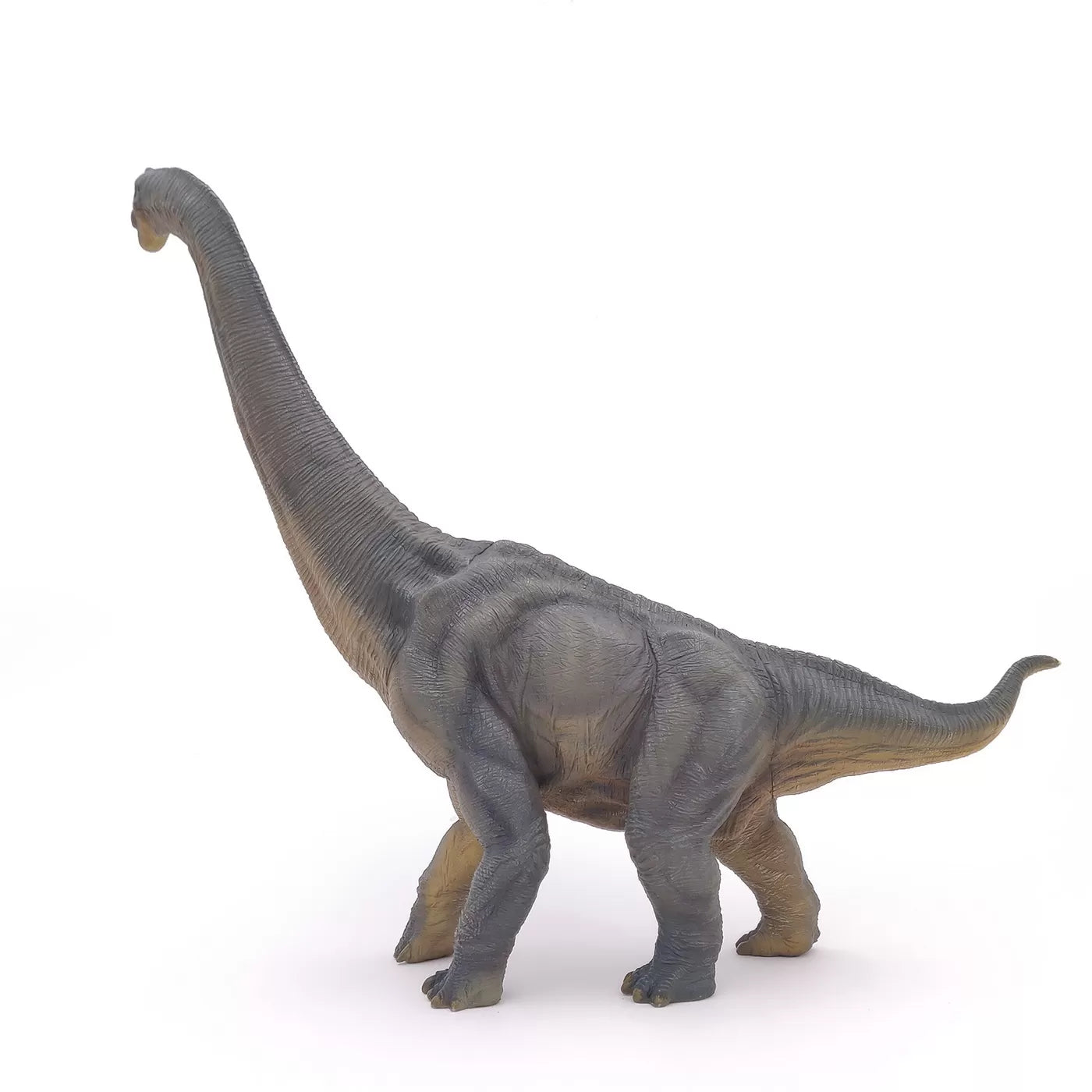 Papo Brachiosaurus dinoszaurusz figura