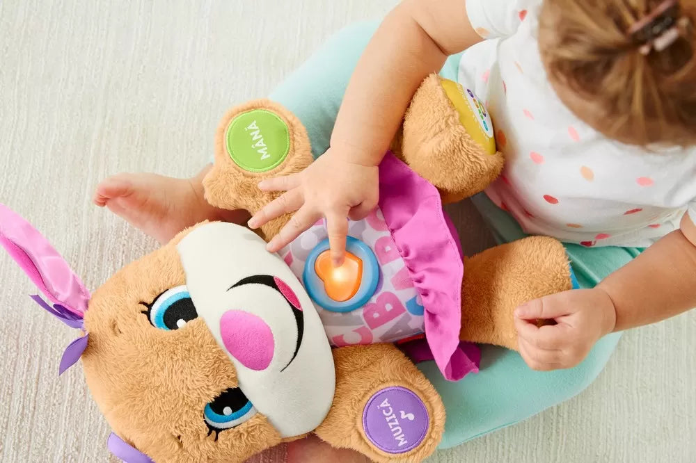 Fisher Price kiskutya Hugi románul beszél