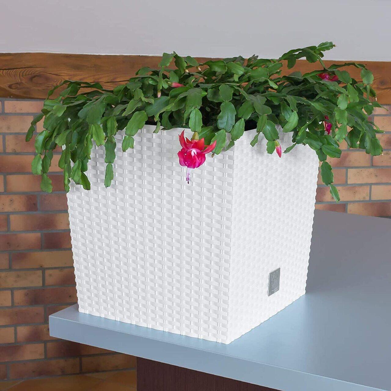 Virágcserép, Prosperplast, Rato Low, négyzet alakú, rattan utánzat, fehér, 22,3x22,3x22,8 cm