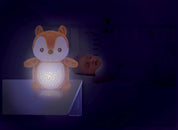 Winfun proiector si lampa de veghe veverita