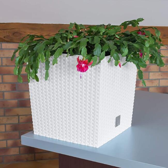 Ghiveci de flori, Prosperplast, Rato Low, patrat, 6.8 L, imitatie ratan, alb, 20x20x20.2 cm