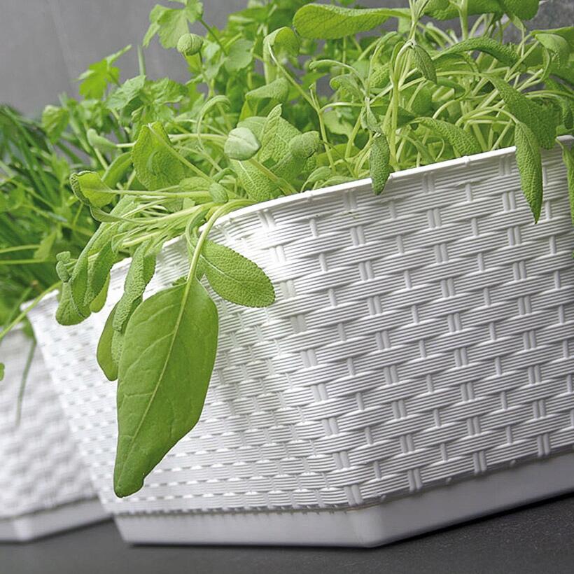 Jardiniera decorativa, Prosperplast, imitatie ratan, alba, 49.2x17.2x17.4 cm