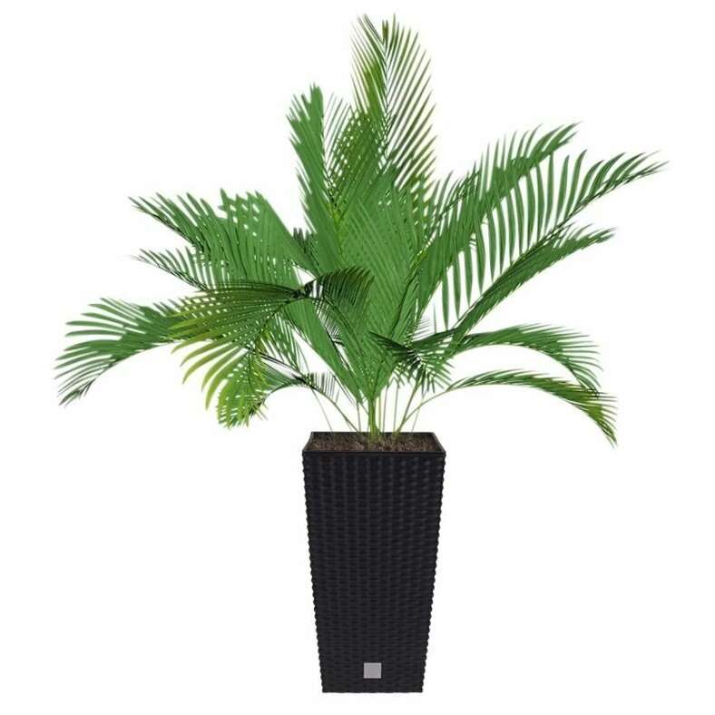 Négyzet alakú virágcserép, RATO négyzet, 22,5x22,5x42,1 cm, 8/16,3 L, rattan utánzat, fekete, Prosperplast