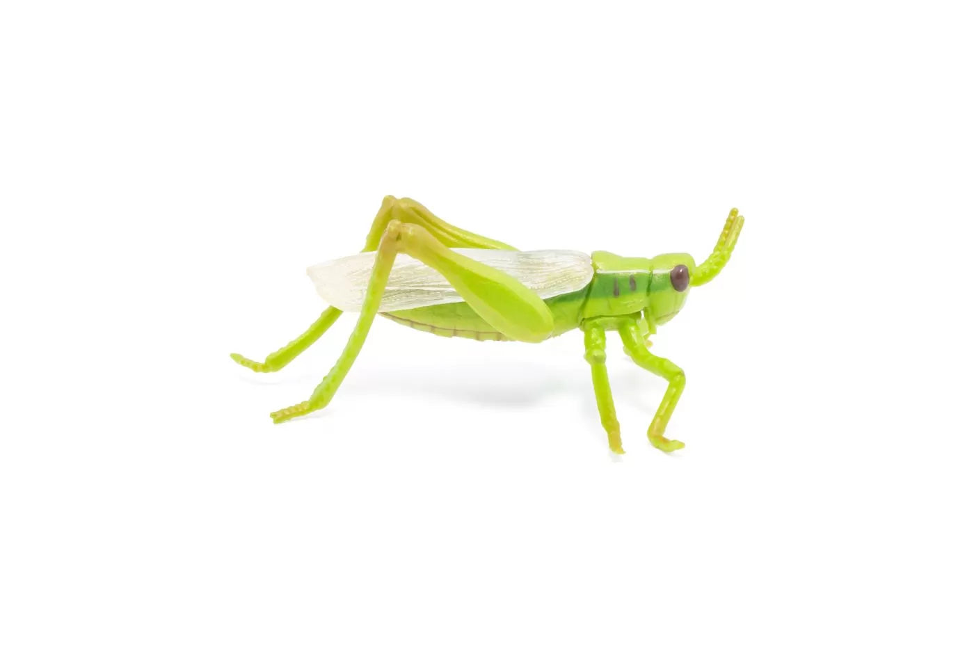 Papo figurina lacusta