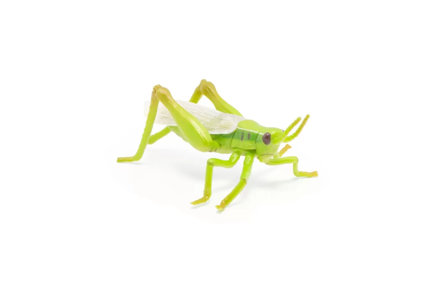 Papo figurina lacusta