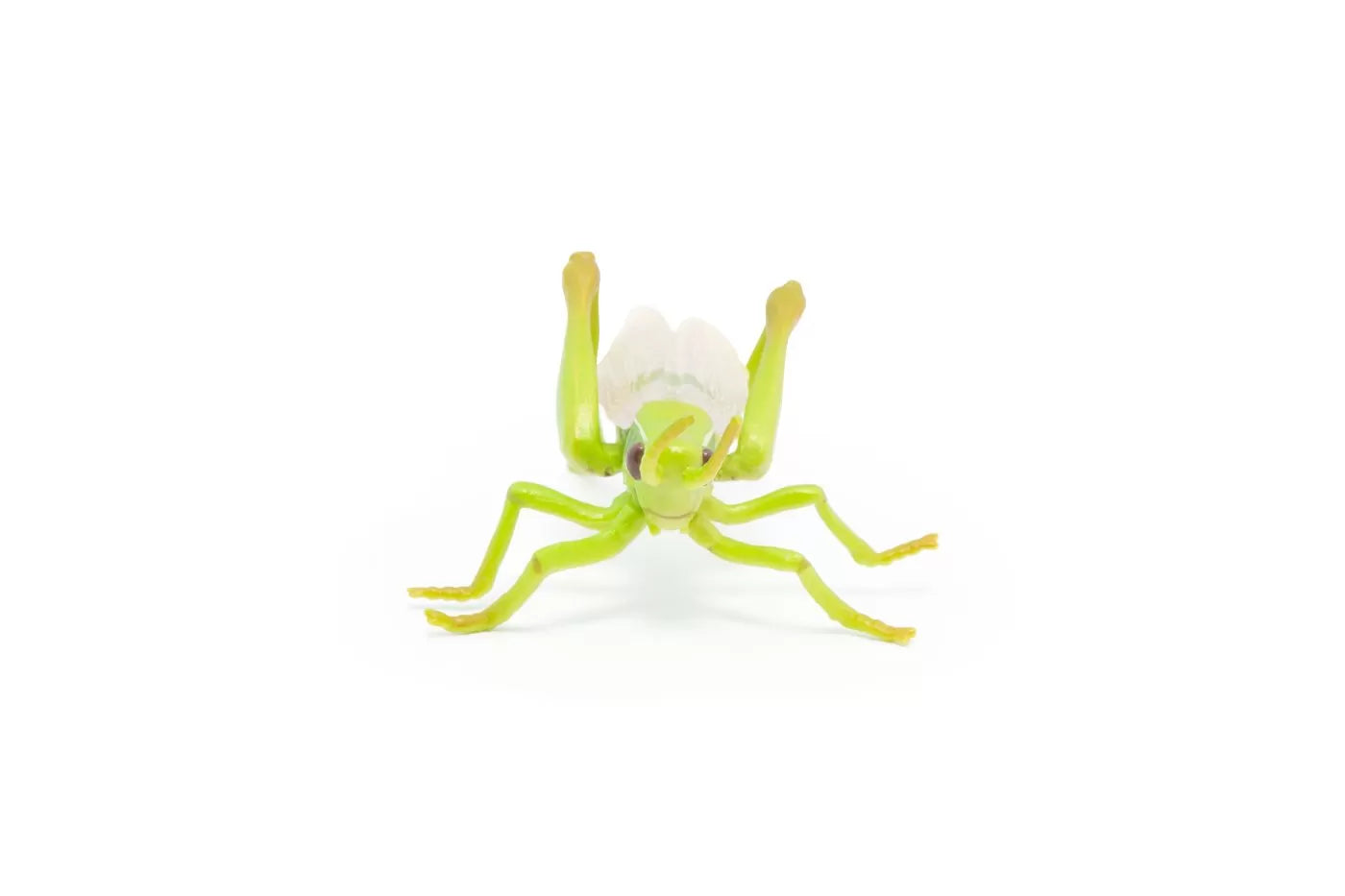 Papo figurina lacusta