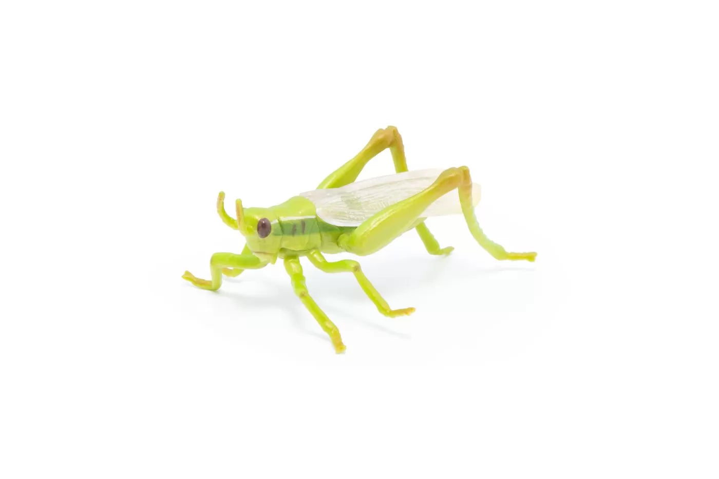 Papo figurina lacusta
