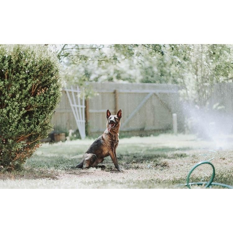 Sistem irigatii cu pulverizare, tip perdea, 11 duze, 115 piese, 10 m, Malatec